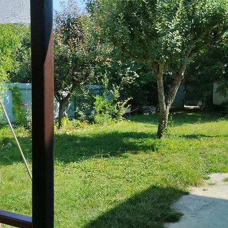 Эльза Hotel Gudauta Esterno foto