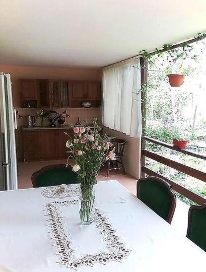 Эльза Hotel Gudauta Esterno foto