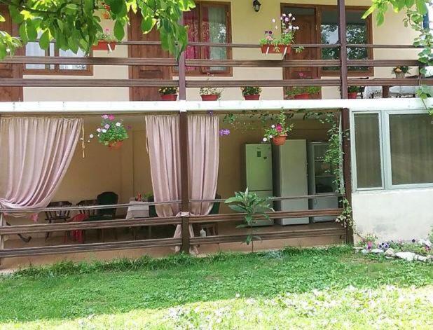 Эльза Hotel Gudauta Esterno foto